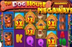 Dog House Megaways